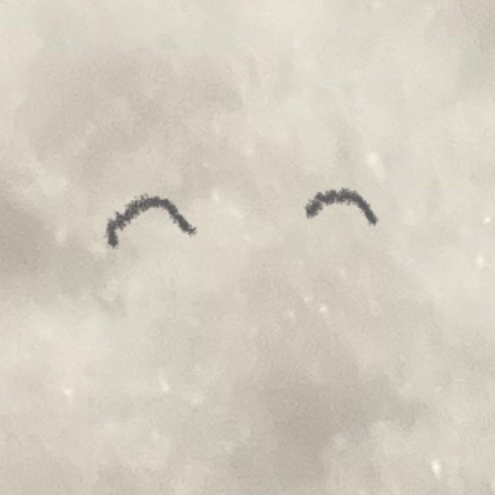 しらたま