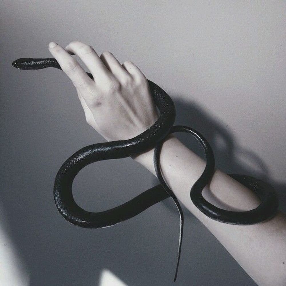 냐비