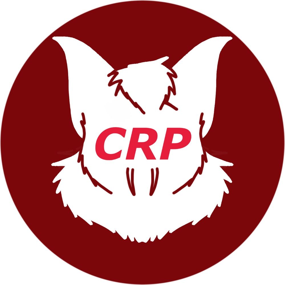 Copenhagen Rail Productions