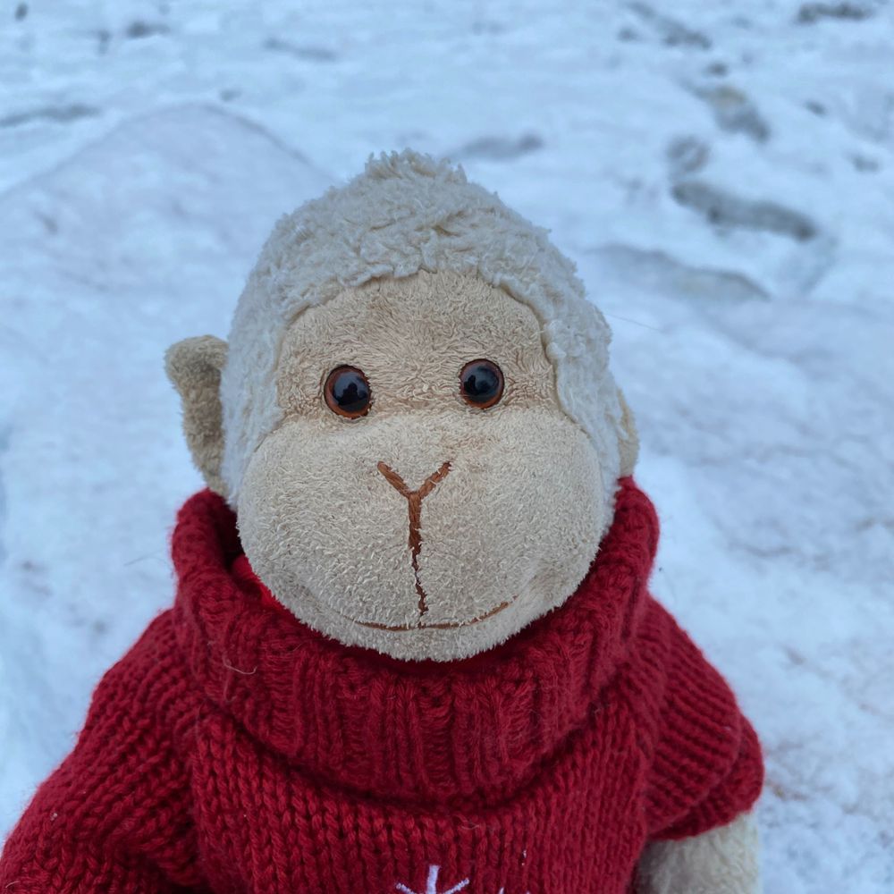 DC Monkey