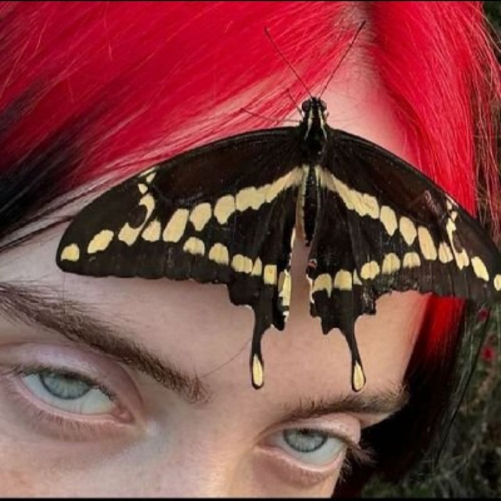 yah