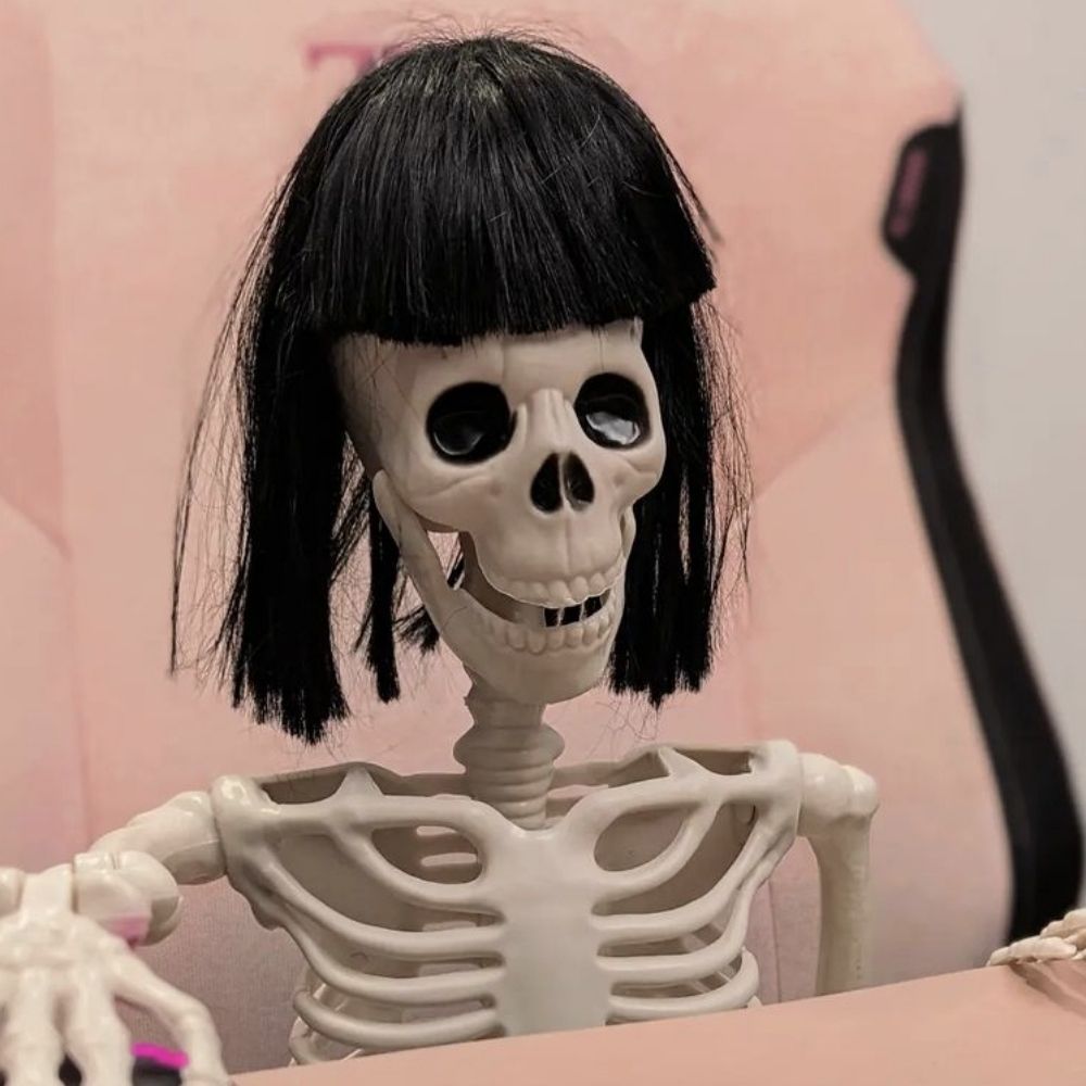 Irenita Dinamita 🦓