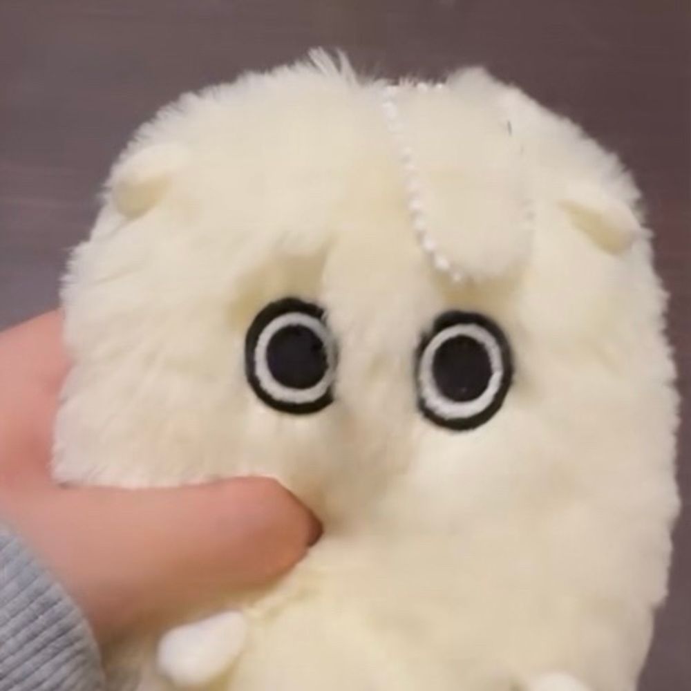 ﾅｺﾁｬﾝ