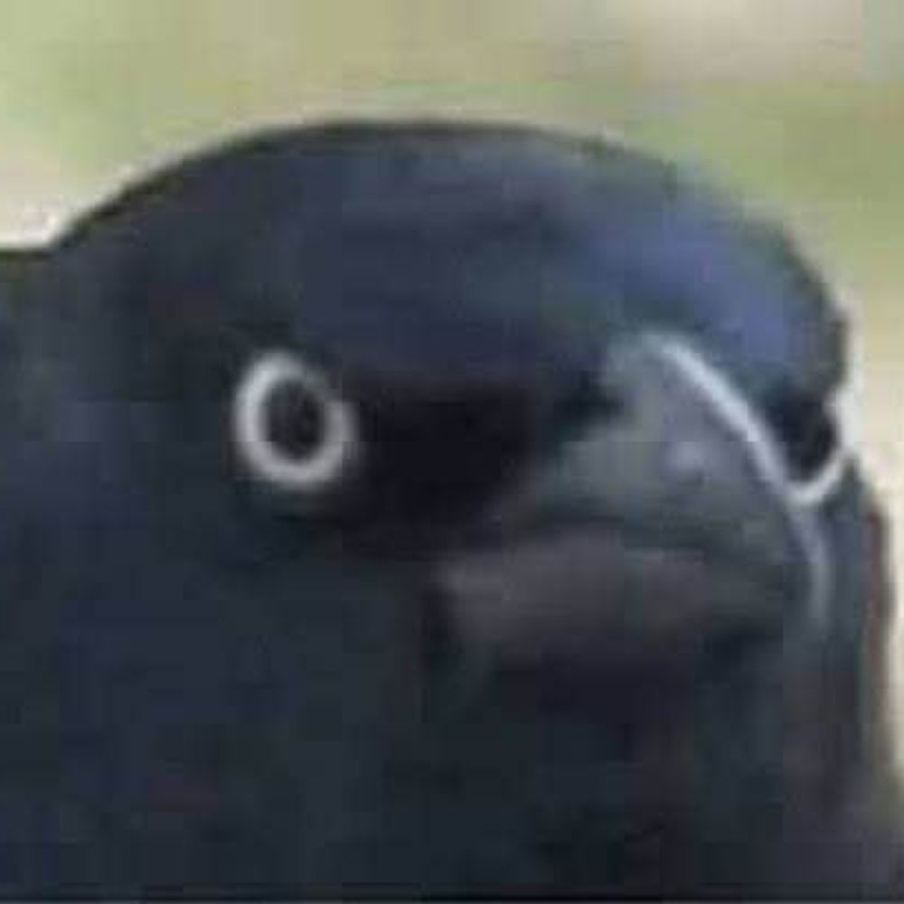 Crow the Crow