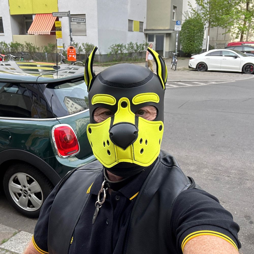 Marbles Pup 🔜 Pawsome