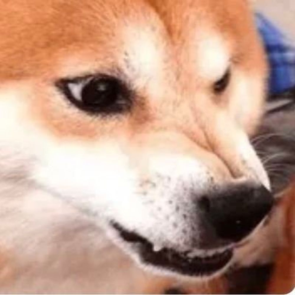 시장개