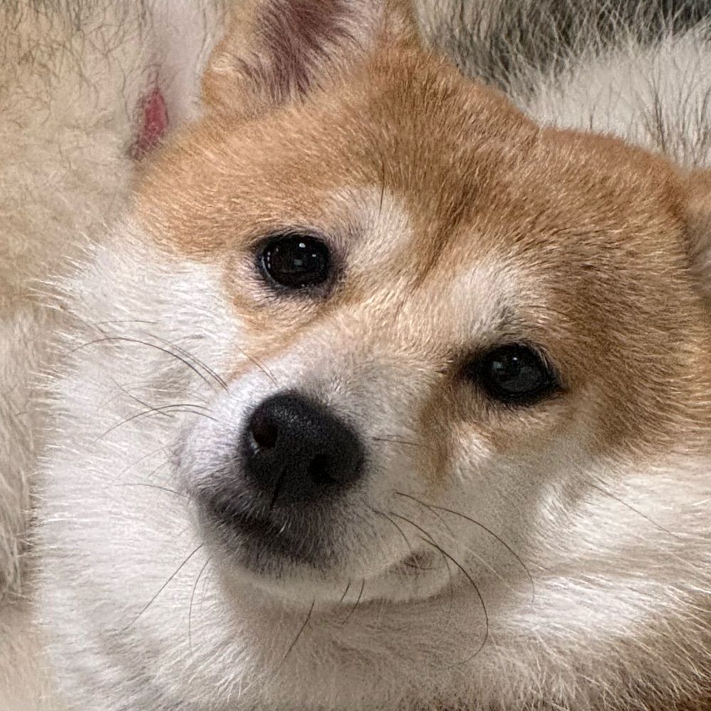 かんた