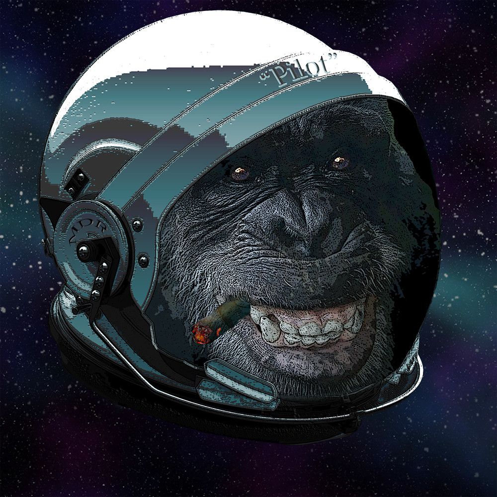 Monkey Death Rocket