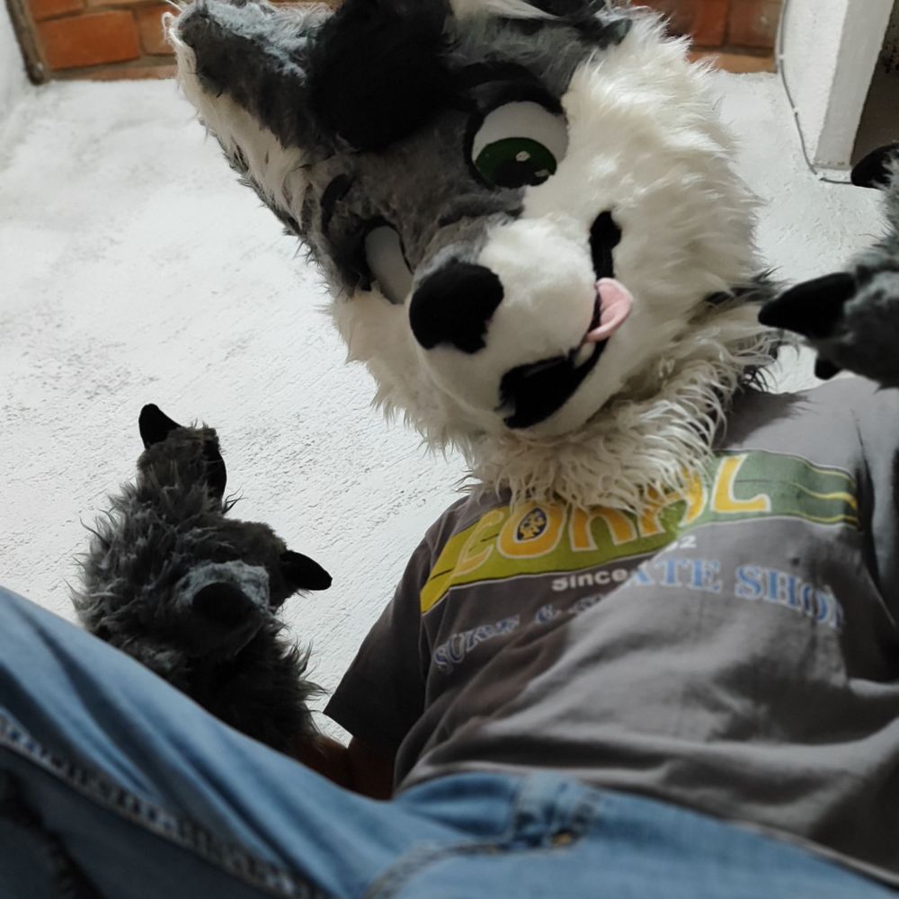 Crash Wolfer