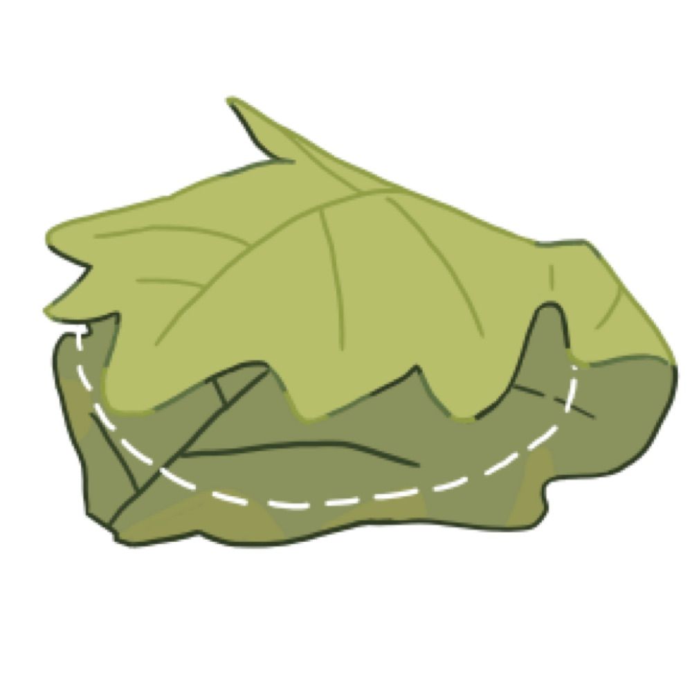 かしわ