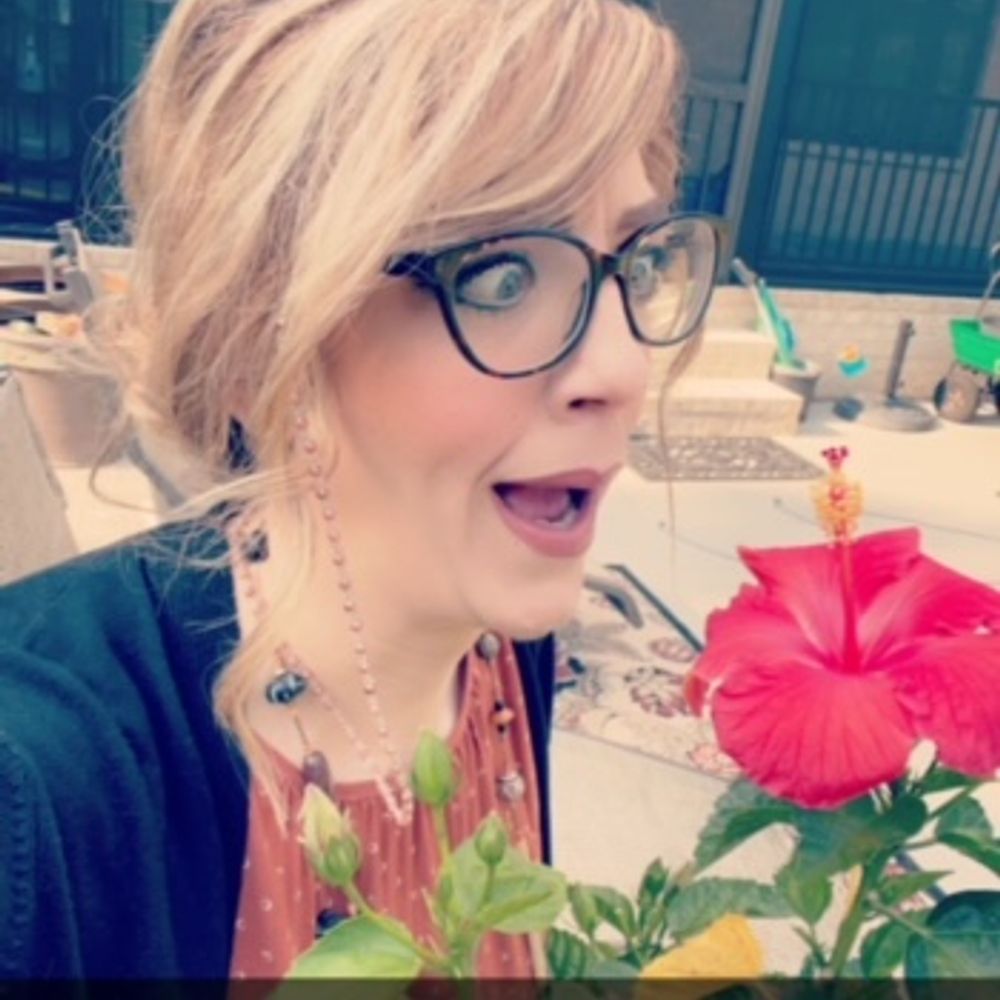 theHaleyJo