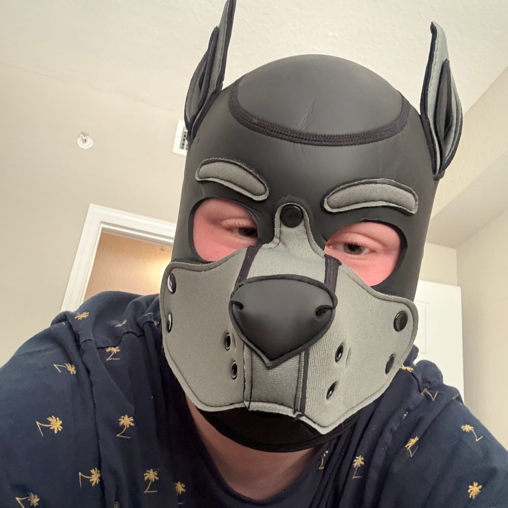 Pup Attis