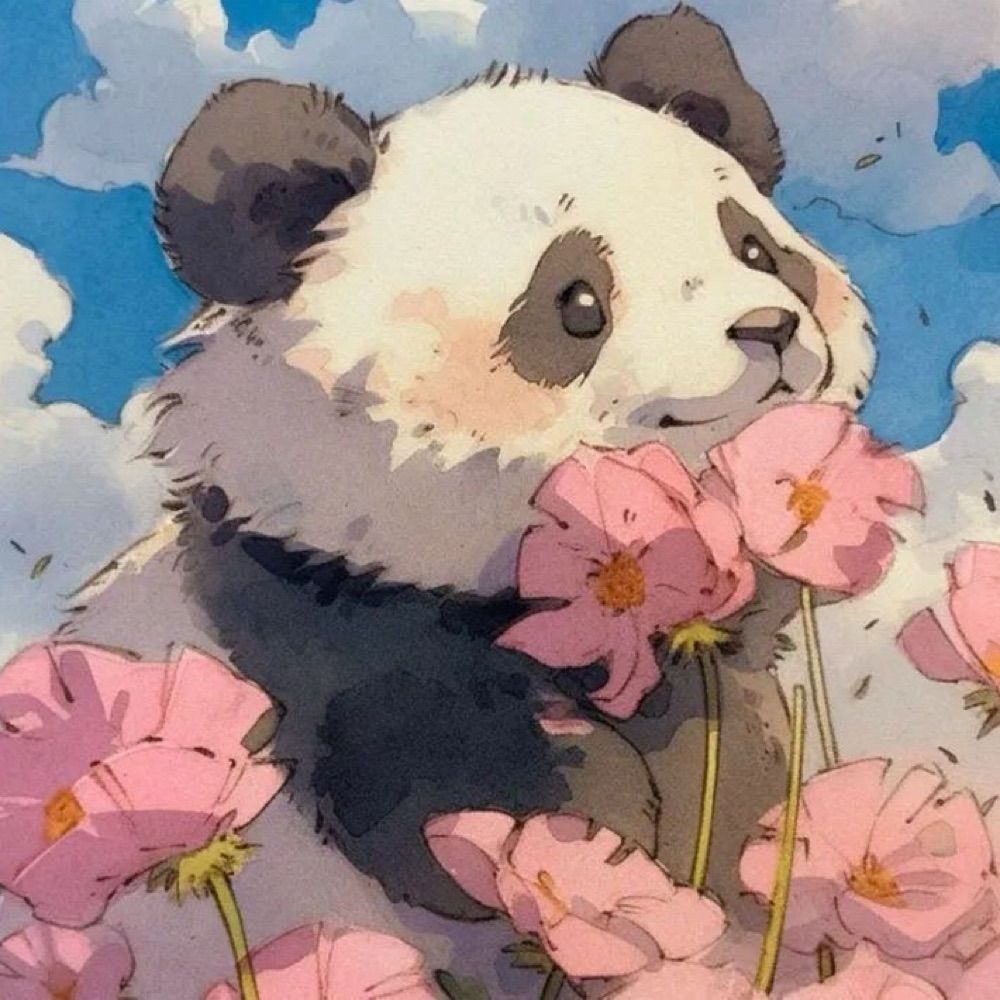 Amanda Panda
