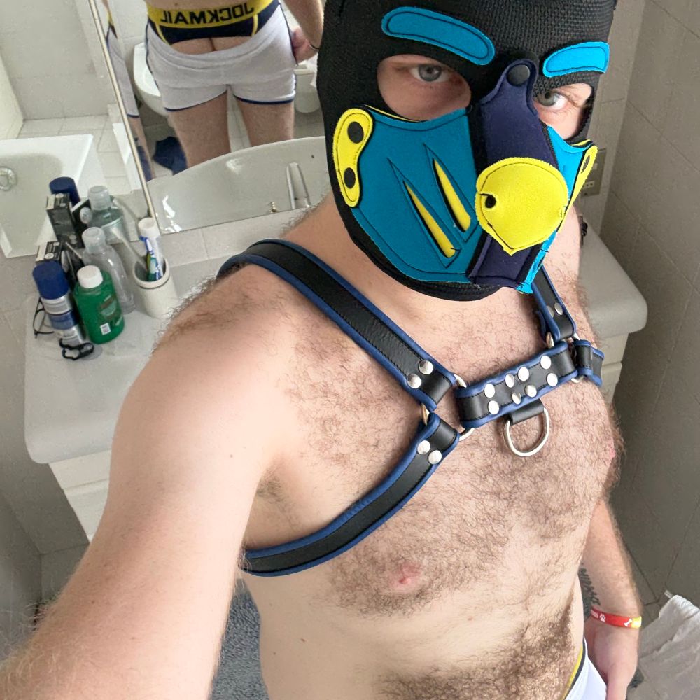 Pup_Cosmos_Khaos