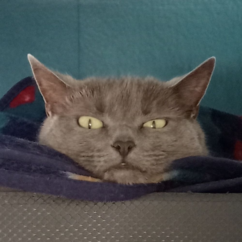 Bob Uppendown