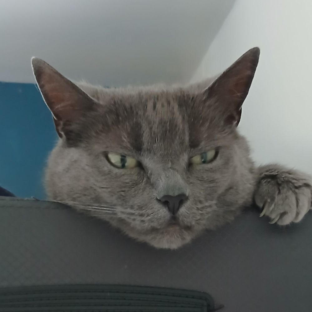 Bob Uppendown