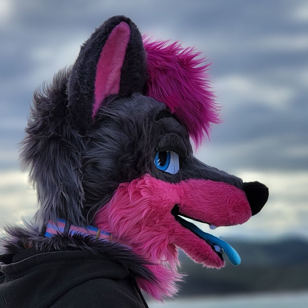 Puppy_Coded
