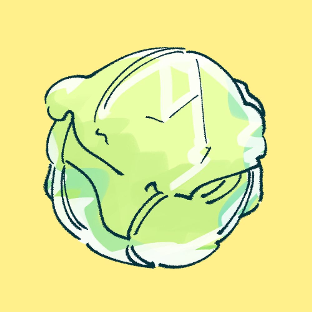 シャキシャキレタス🥗