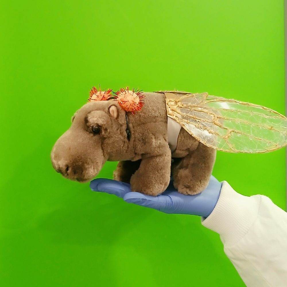 TaponLab