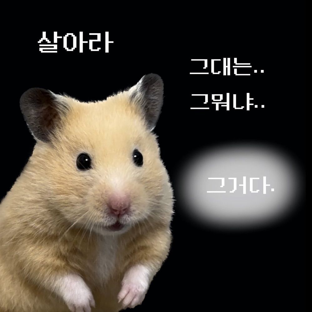 햄스땃쥐쮝쮝