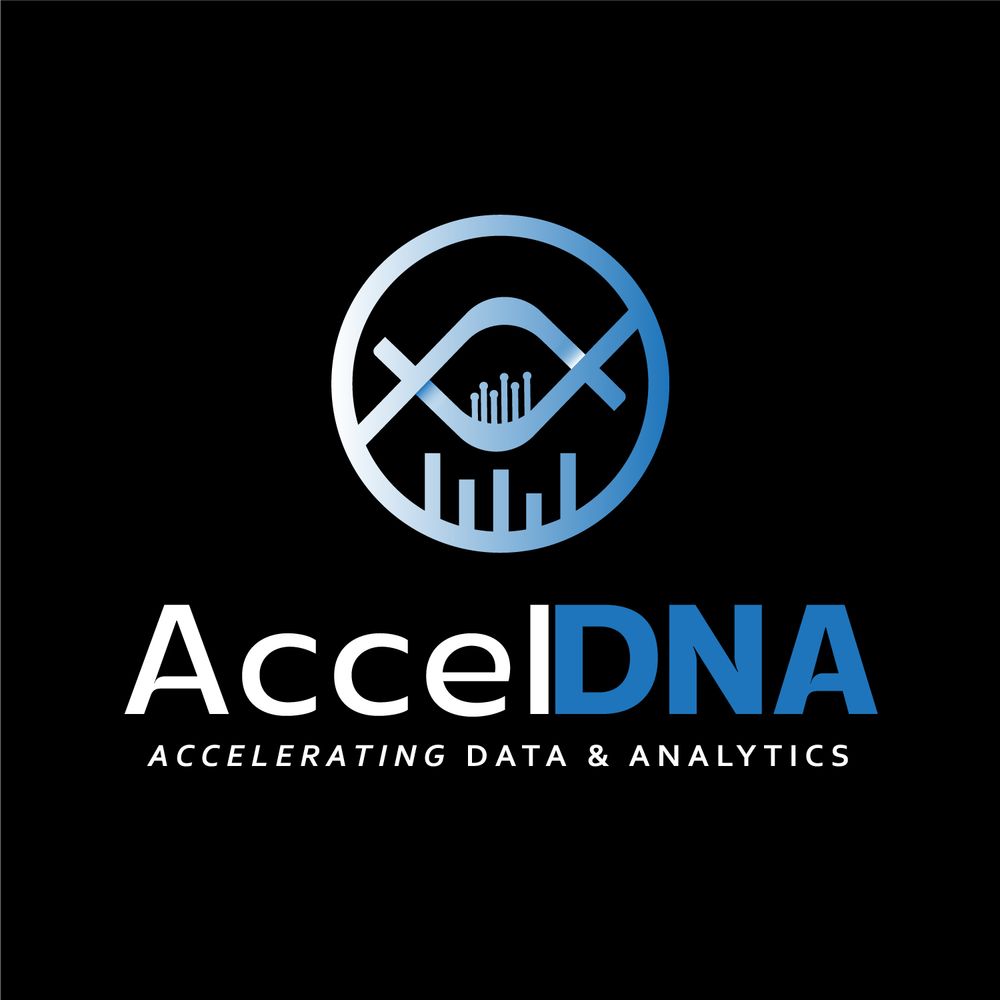Accel DNA - Data, Analytics & AI Talent Solutions