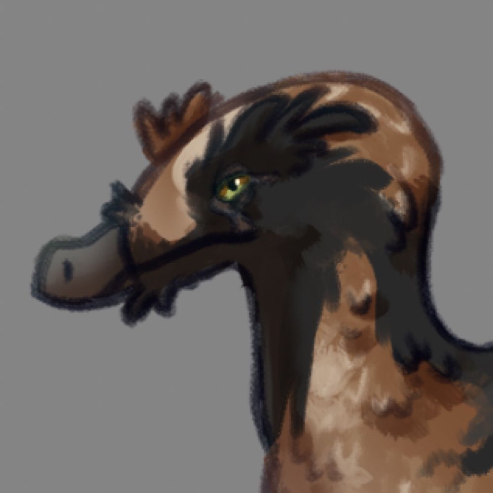 raptor 🦉 issues