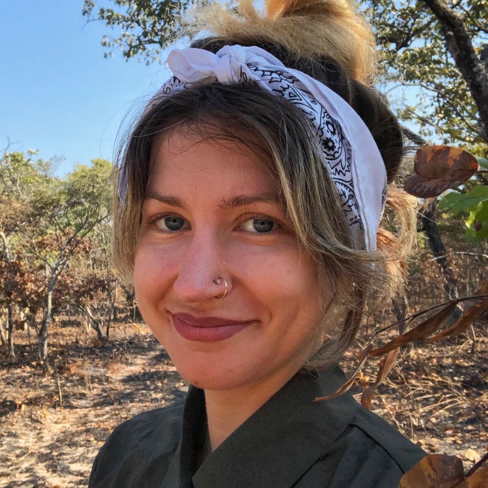 Catie Kitrinos