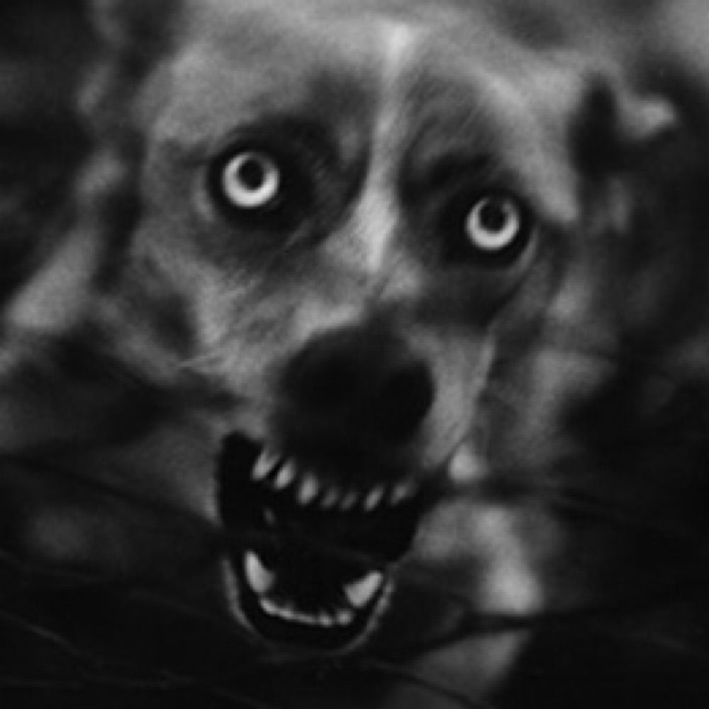 Giacomo Brunelli