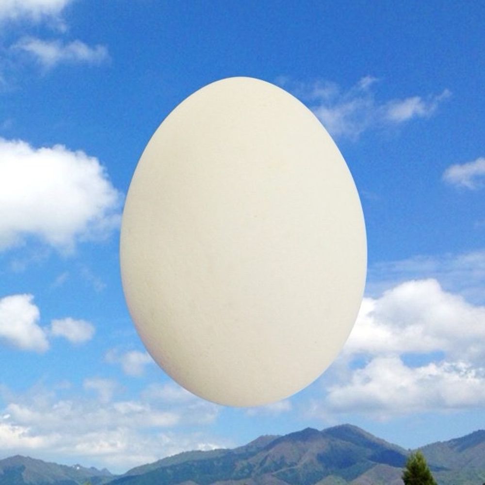 うぐい