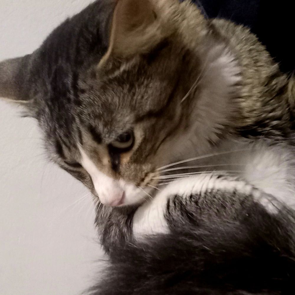 Júlio 