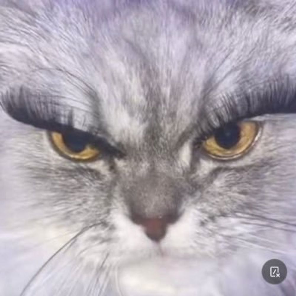 Pottmaus
