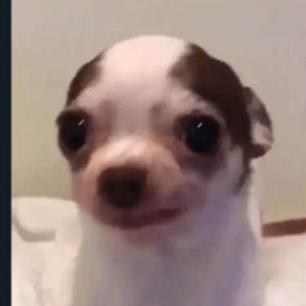Yaya