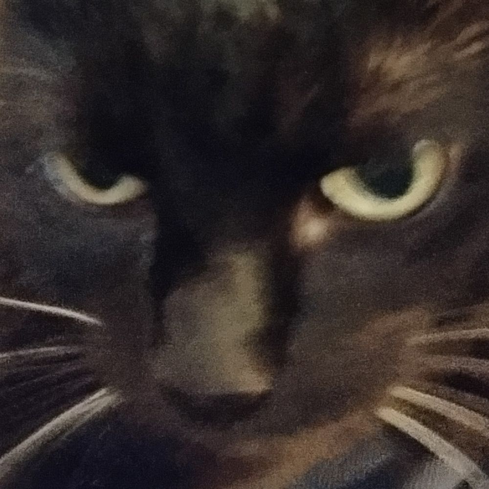 vikipiki