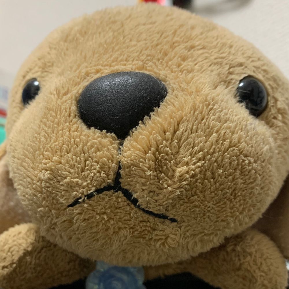 物欲センサー実装