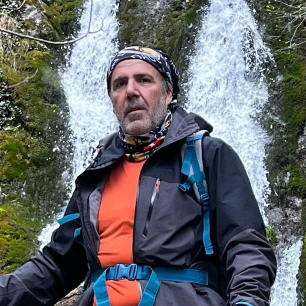 Doğan