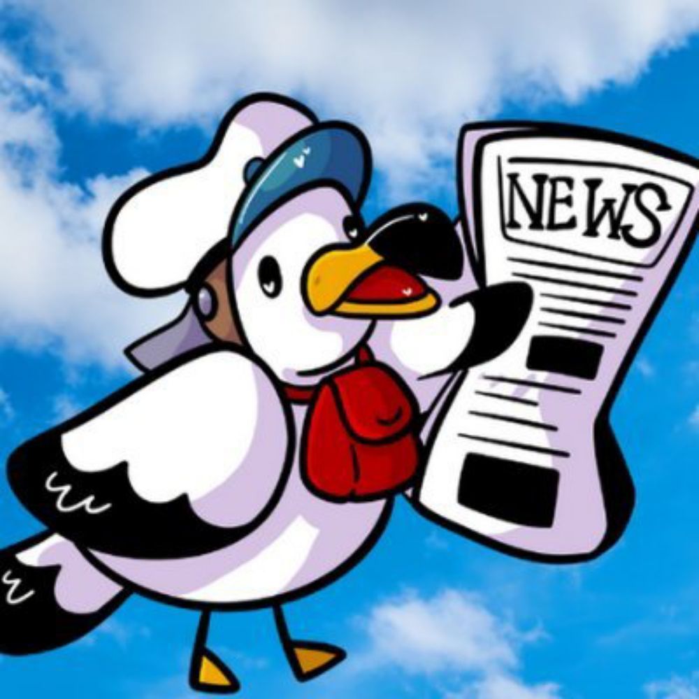 Newscoo Zines