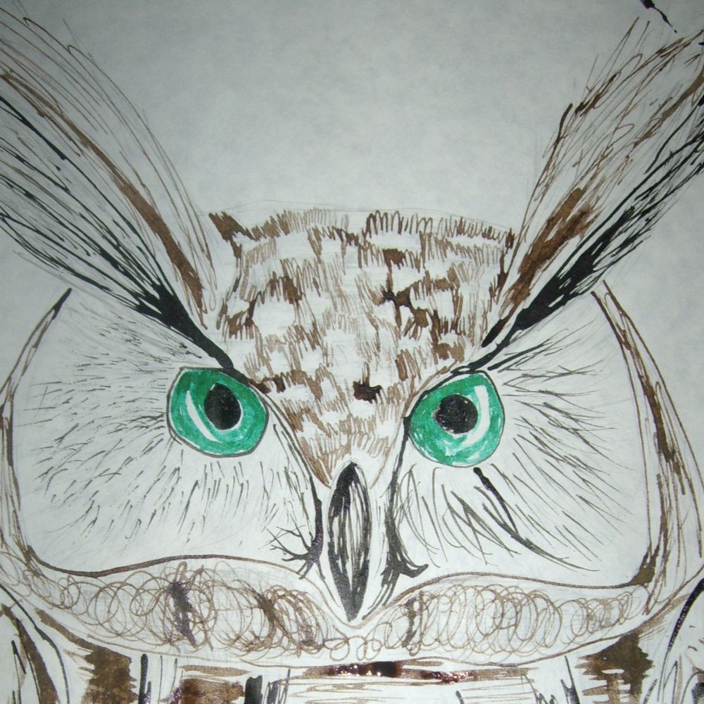 StripesInFlight