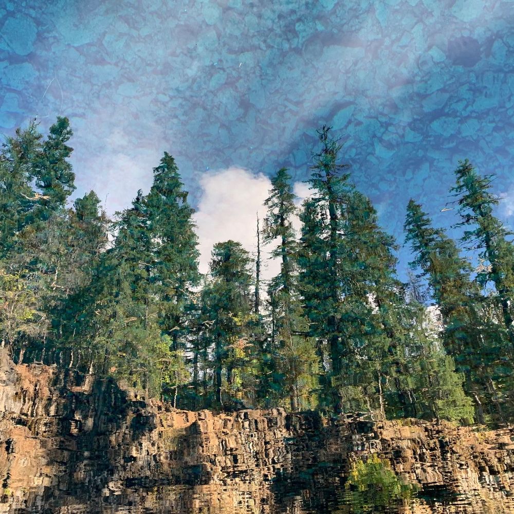 Together Oregon