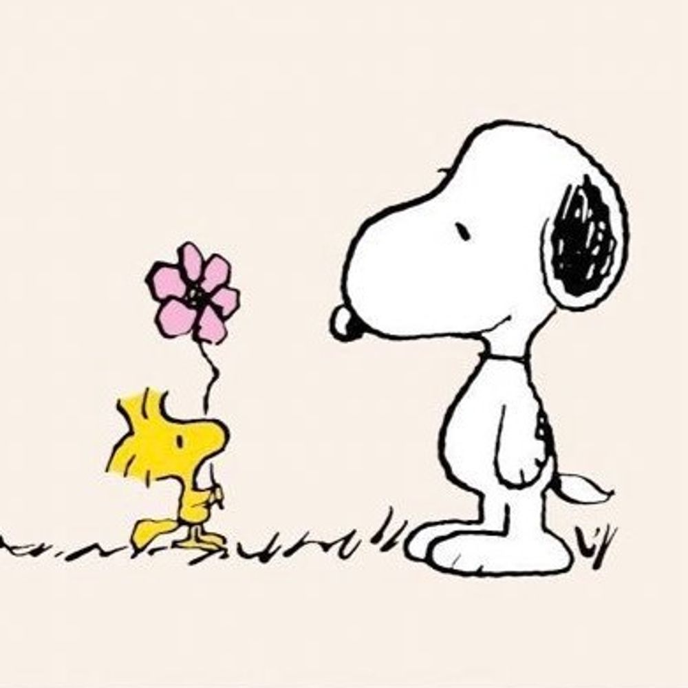 Daily Peanuts