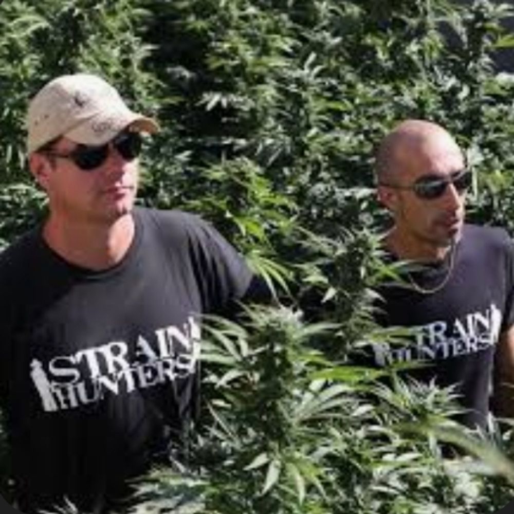STRAIN HUNTERS
