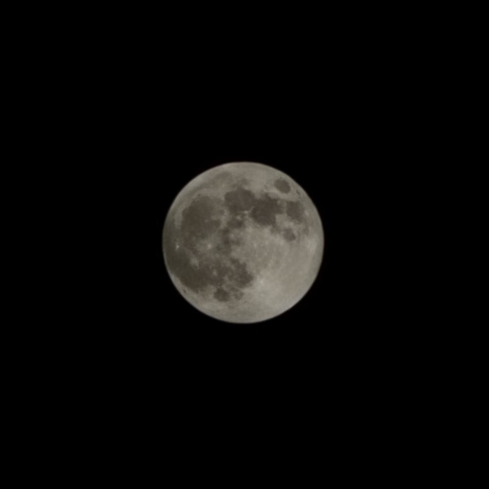 빅빅문🌙