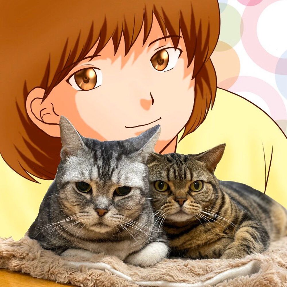 🐾猫吸い🐾