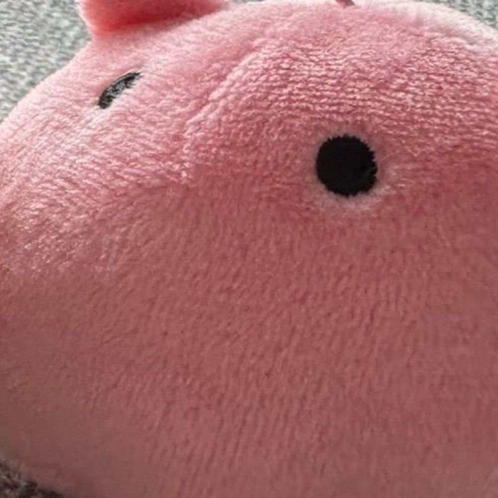 めんだこ