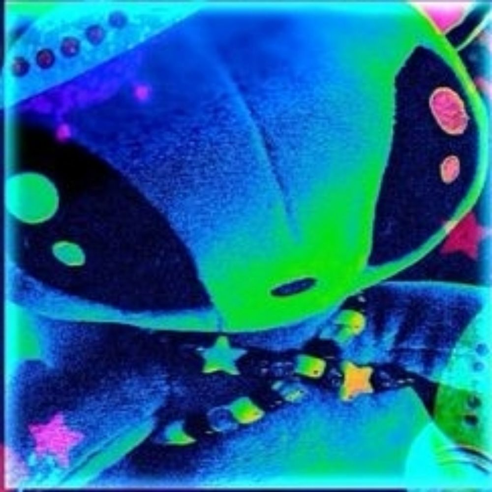 Ruuki