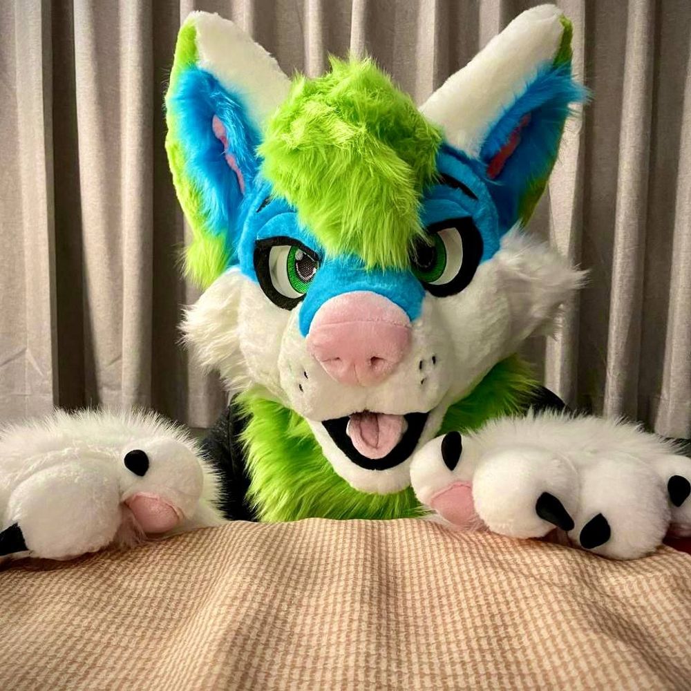 Ryan-Da-Husky 