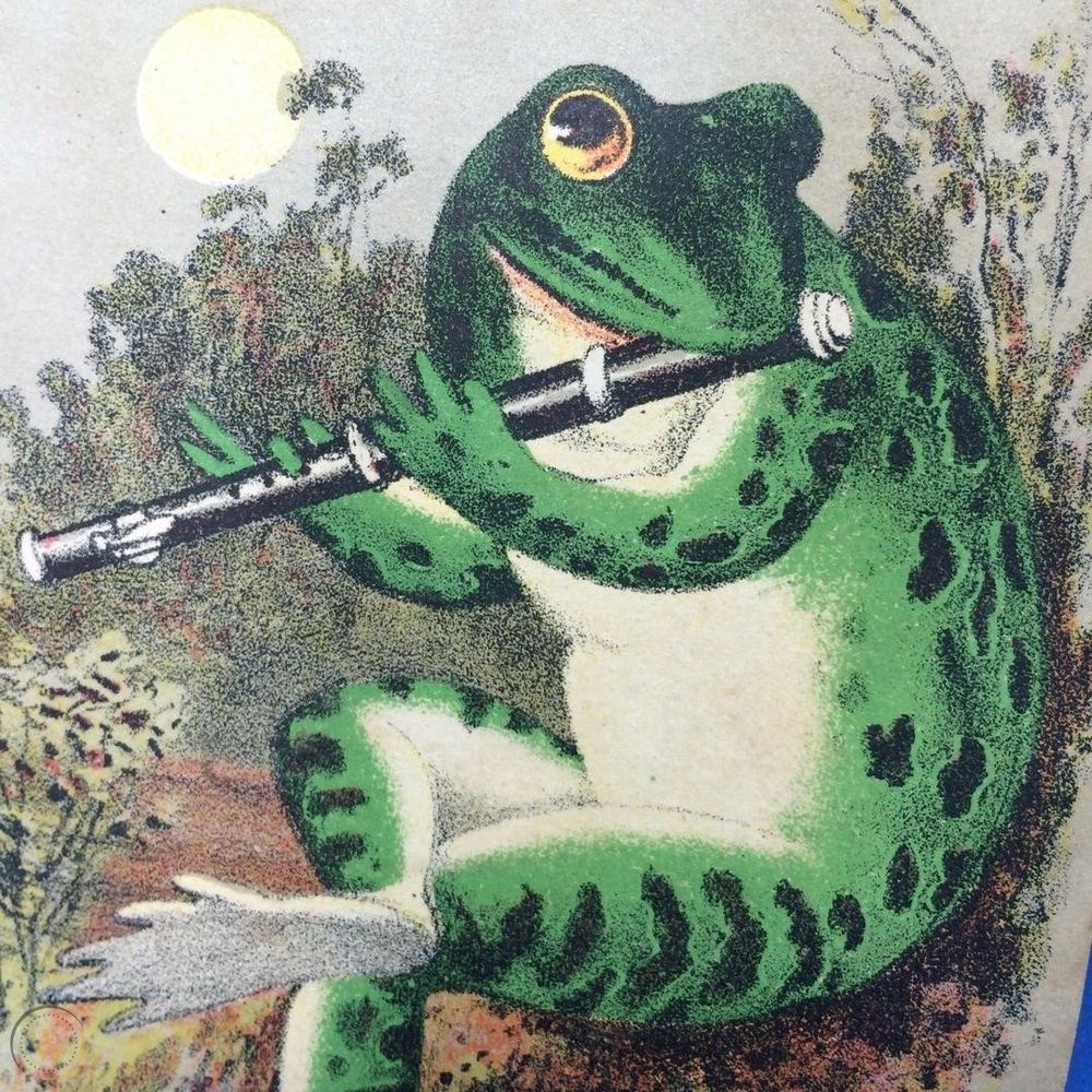 Lyx 🐸