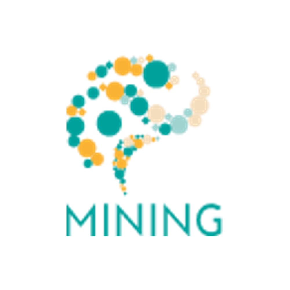 MINING - ERC Project