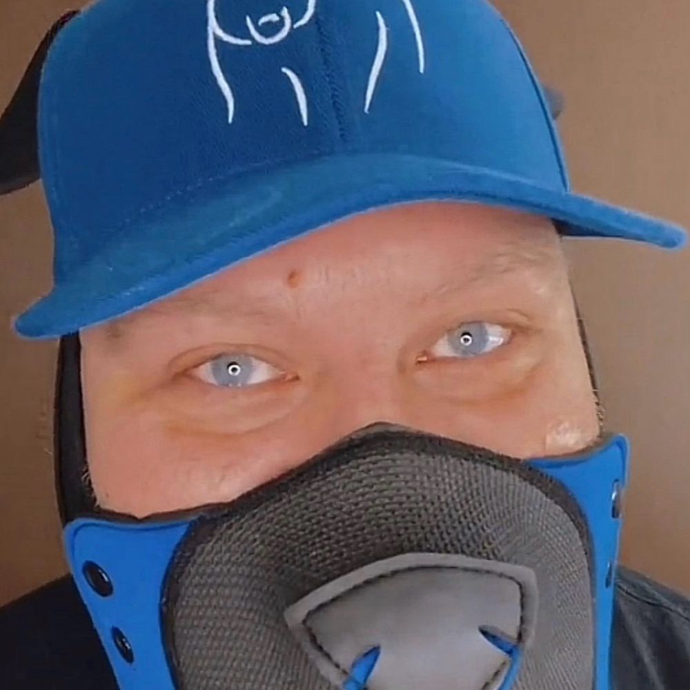 Sir Bear