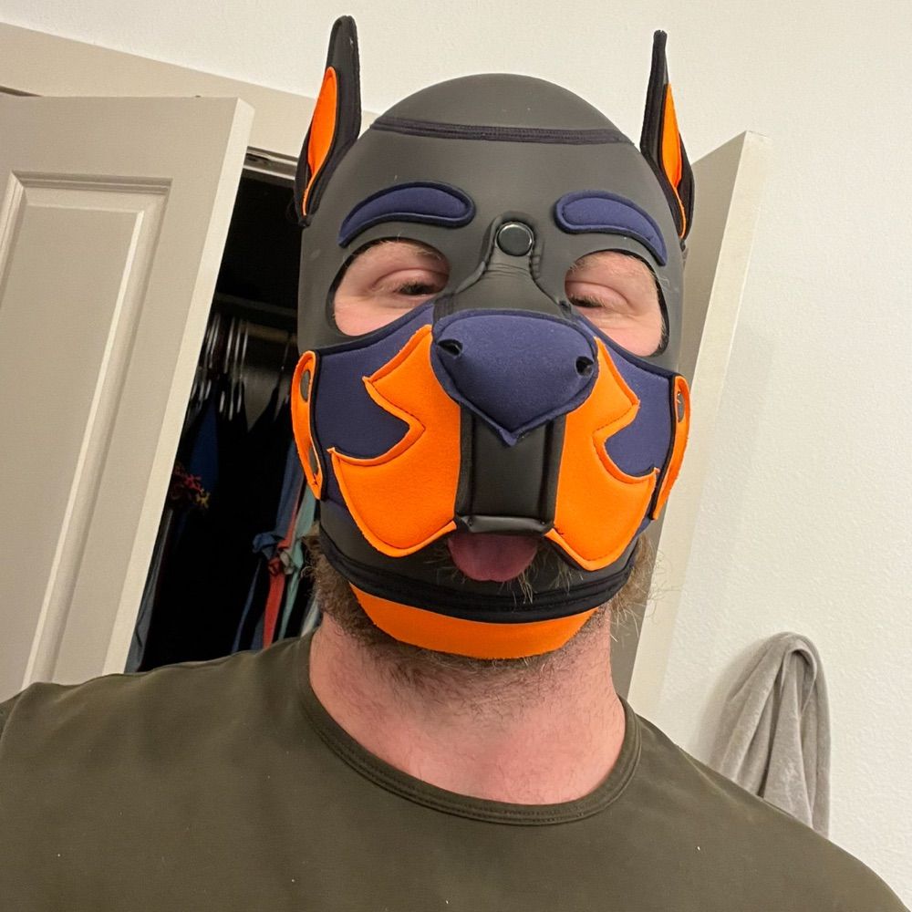 Texaschastpup