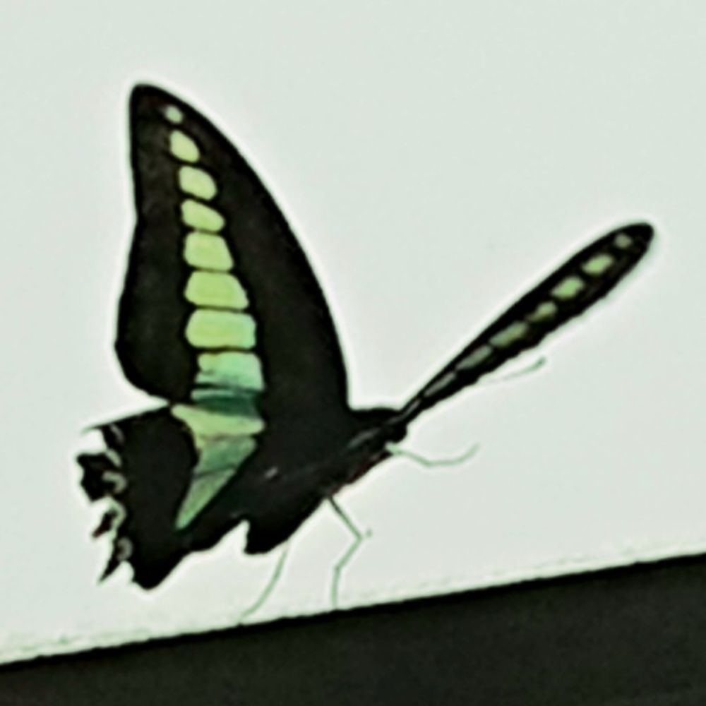 も